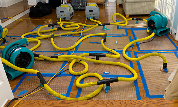 Professional Structural Drying And Dehumidification technician working in Antioch, IL